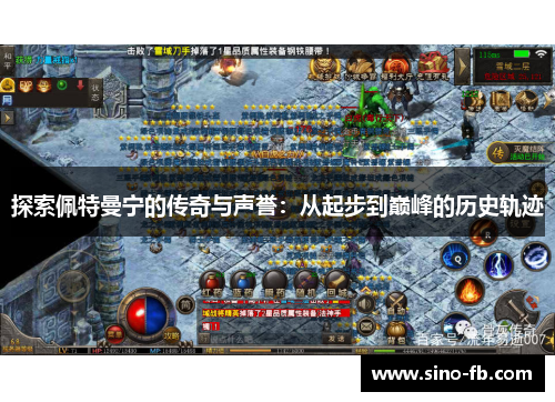 探索佩特曼宁的传奇与声誉：从起步到巅峰的历史轨迹