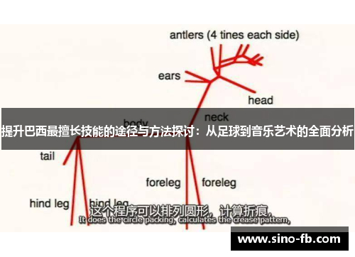 提升巴西最擅长技能的途径与方法探讨:从足球到音乐艺术的全面分析 提升巴西最擅长技能的途径与方法探讨:从足球到音乐艺术的全面分析
