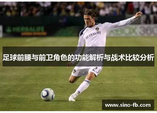 足球前腰与前卫角色的功能解析与战术比较分析