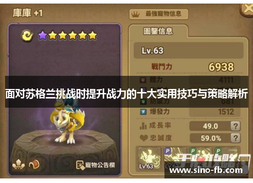 面对苏格兰挑战时提升战力的十大实用技巧与策略解析