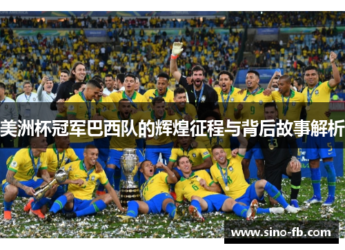 美洲杯冠军巴西队的辉煌征程与背后故事解析