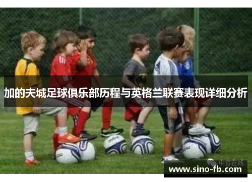 加的夫城足球俱乐部历程与英格兰联赛表现详细分析 加的夫城足球俱乐部历程与英格兰联赛表现详细分析