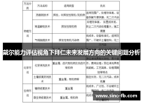 戴尔能力评估视角下拜仁未来发展方向的关键问题分析