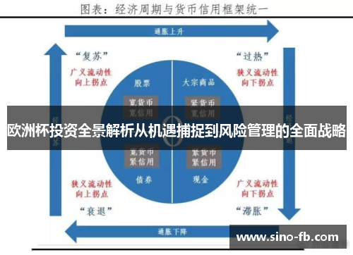 欧洲杯投资全景解析从机遇捕捉到风险管理的全面战略