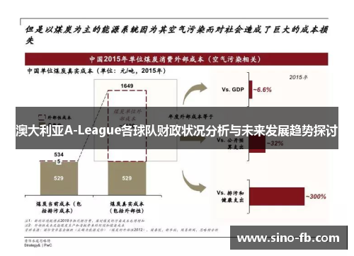 澳大利亚A-League各球队财政状况分析与未来发展趋势探讨