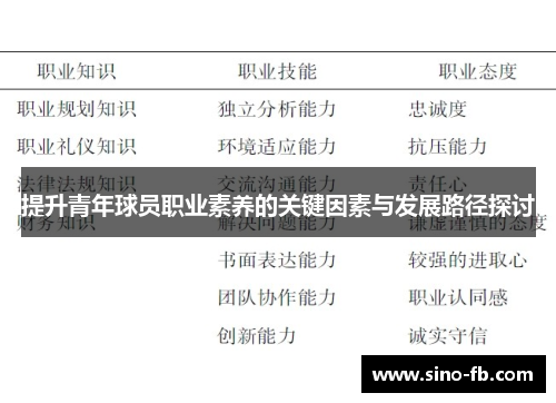 提升青年球员职业素养的关键因素与发展路径探讨