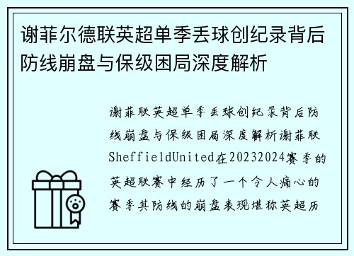 谢菲尔德联英超单季丢球创纪录背后防线崩盘与保级困局深度解析