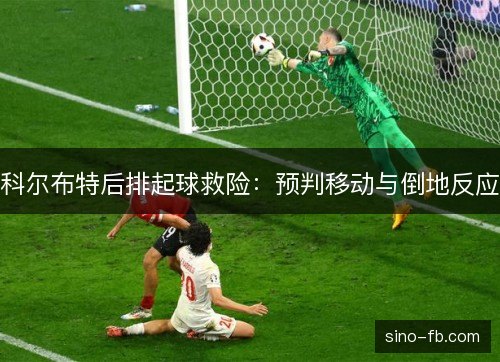 科尔布特后排起球救险：预判移动与倒地反应
